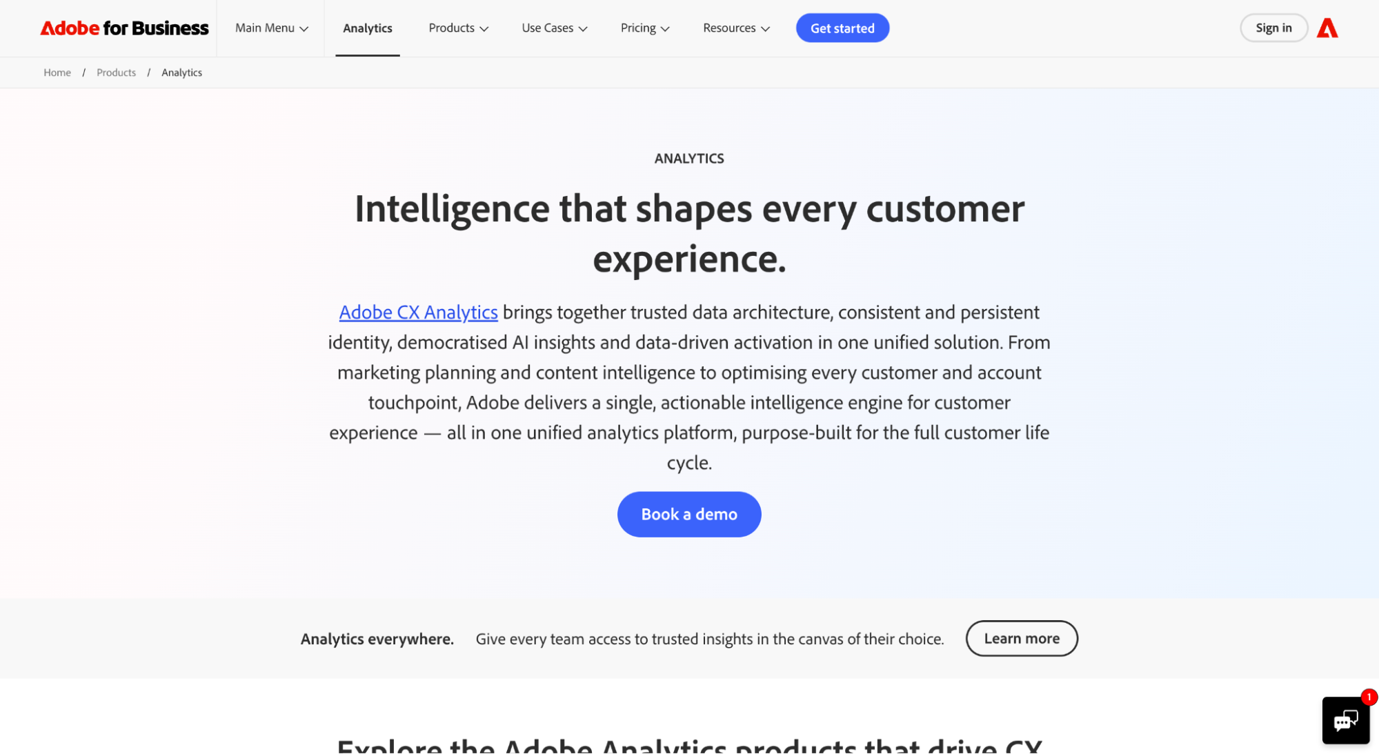 Adobe Analytics